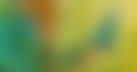 Высокий жизненный тонус, как условие качества жизни