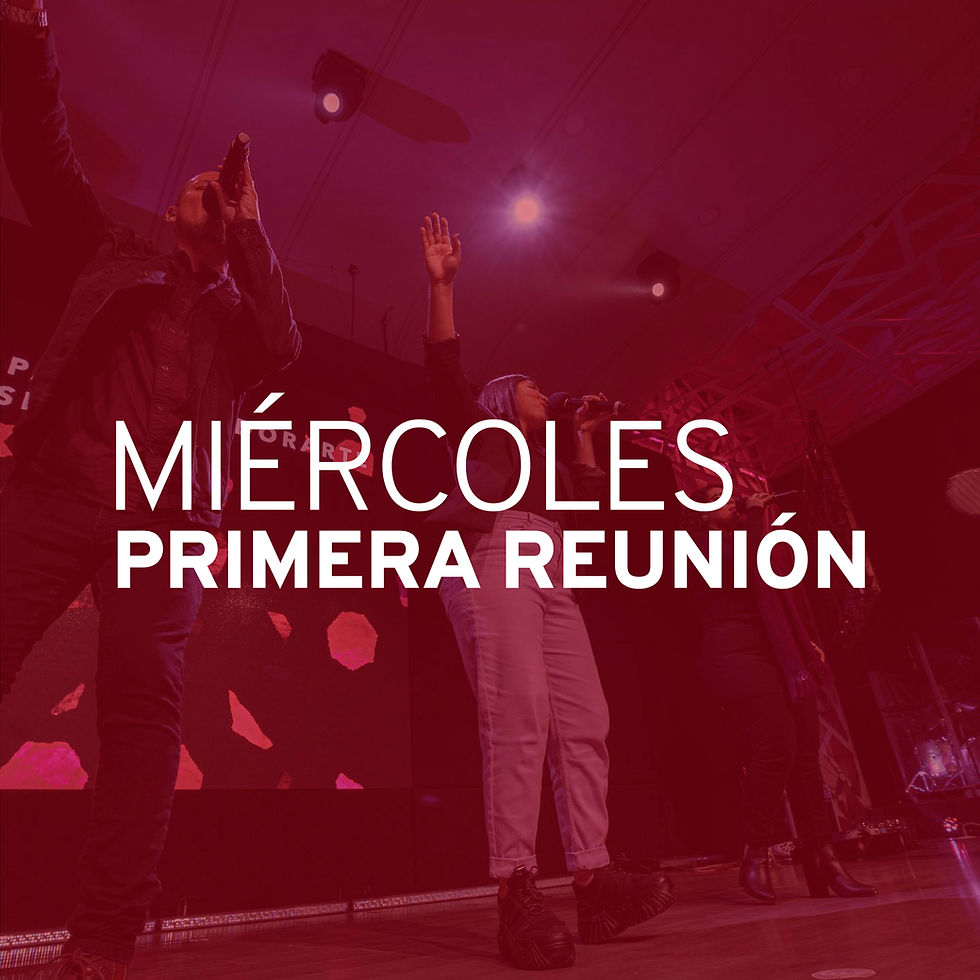 Domingo 21 de marzo (Primera Reunión)