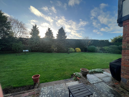 hedge trimming in warfield