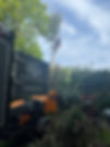 tree surgeon in bracknell
