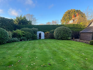 hedge trimming in bracknell