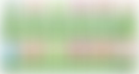 Fruit soju exports near $100 mn as overseas demand surges