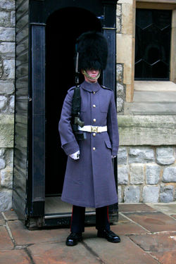 P6.jpg