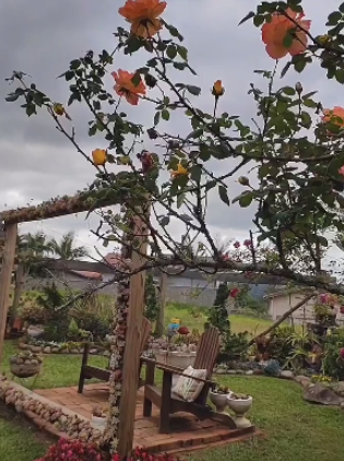 Jardim no Mundo das Suculentas