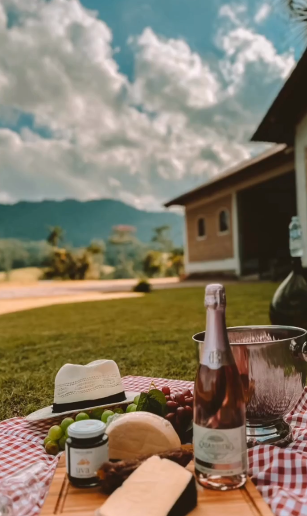 Vinícola Molinari com um cenário de linda natureza para um piquenique