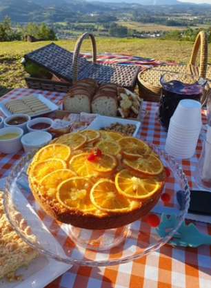 Mesa com pães, doces e sucos oferecidas no Miradouro Bela Vista em Lontras