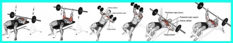 Exercice polyarticulaire en musculation pour les pecs spécial femme