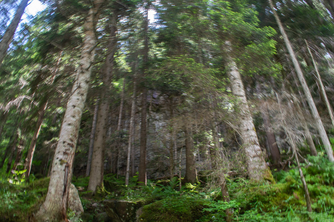 _DSC8369.jpg
