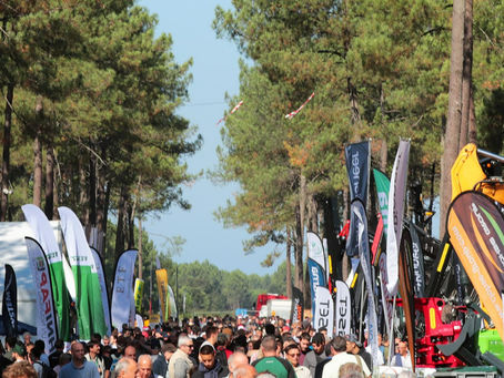 FOREXPO LES LANDES MIMIZAN