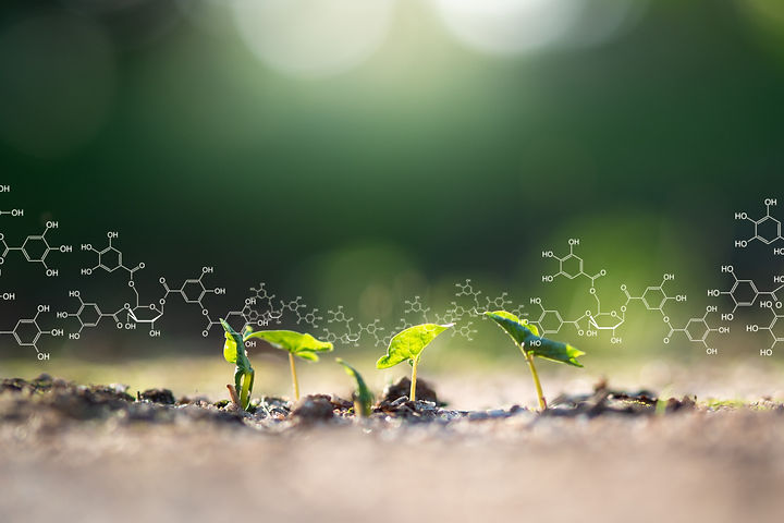 AdobeStock_265810467.jpeg