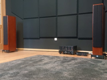 "pleasure - musical" device.