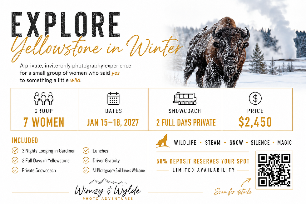 Wimzy & Wylde - Women's Winter Photo Adventure