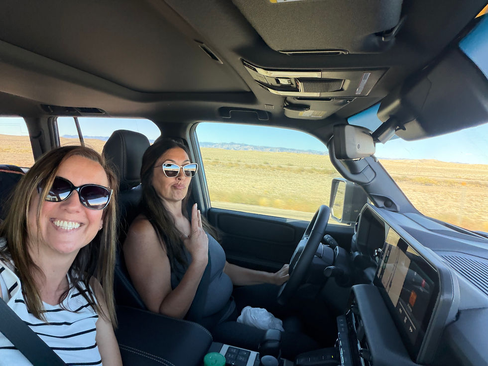 Wimzy & Wylde Wander to Lake Tahoe