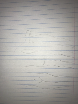 DeboraXavier02