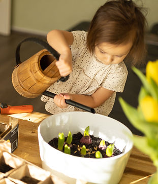 a-little-girl-of-two-years-planting-seedlings-in-p-2026-01-07-01-38-12-utc (1)_edited.jpg