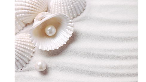 Untitled design (12).png