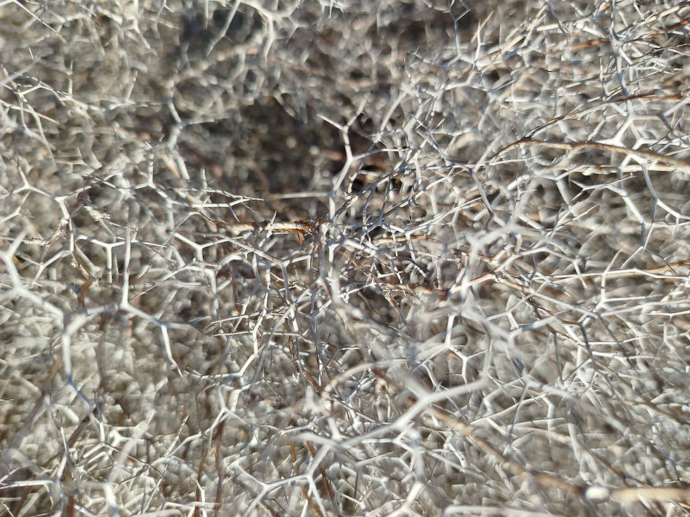 Close-up view of a brain model highlighting neural connections