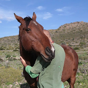 Yanis Zagorianakos.jpg