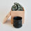 Thumbnail: Black Cups | "The world in your cup" series