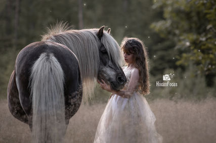 Meisje met pony, prinsessenjurk, shetlandpony, shetlander, paardenfotografie, pluimen, bos, natuur