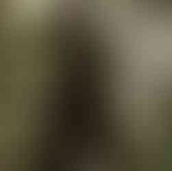 ancient rainforest Fraser Island, Australia. Akubra