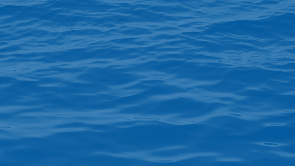 Clippers Web Banner BG.jpg