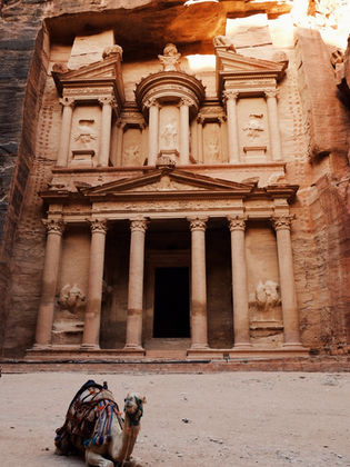 petra, dromadaire, bedouins, jordanie