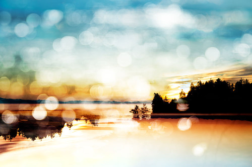 Stacey Bodnaruk-Endless Summer