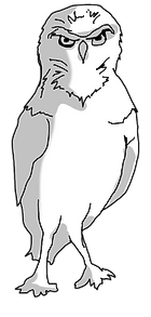 WONDER STUFF.png