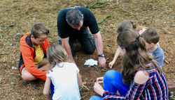 Fire building