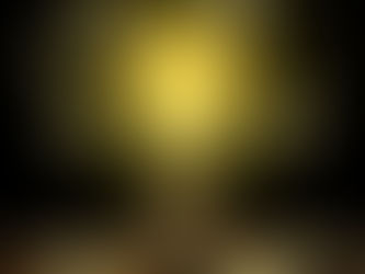 When Growth Requires Better Visibility