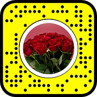 snapcode.png
