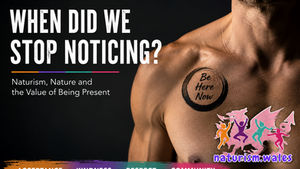 When Did We Stop Noticing?