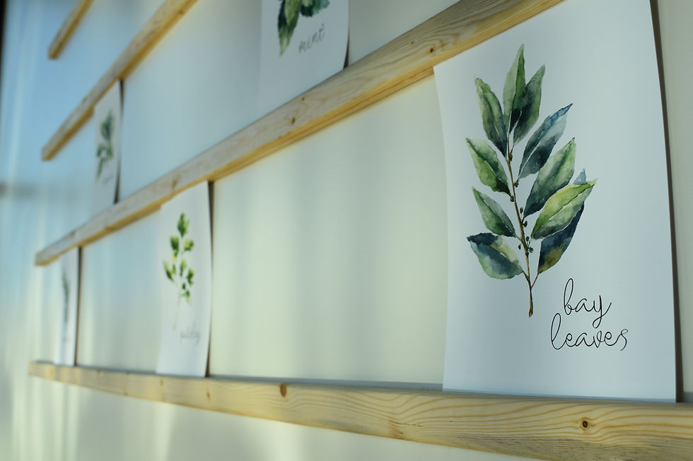 Frisco, TX - Custer/121