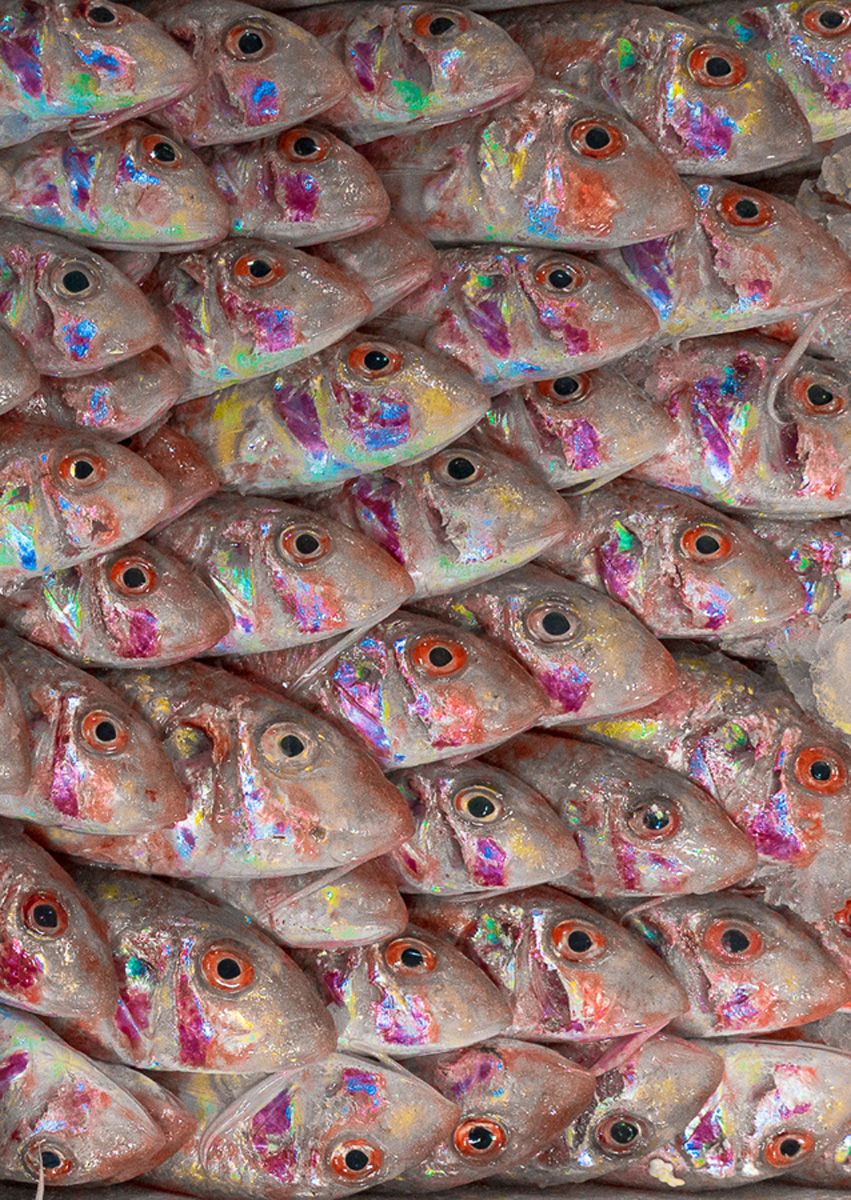 Heres looking at you, Athens Greece, 2018