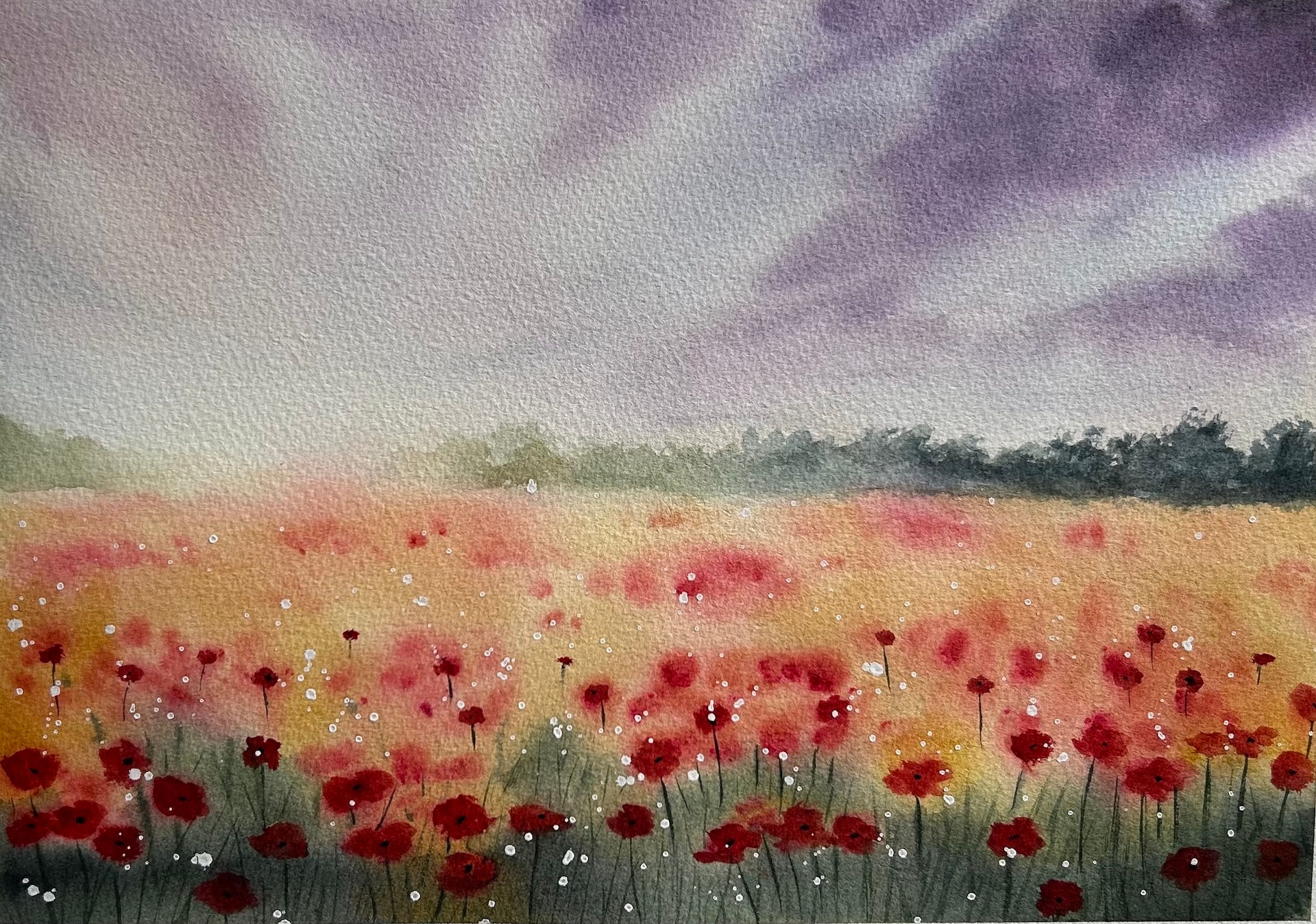 Poppies in remembrance (242mm x 333mm ≈ 9.5" x 13")