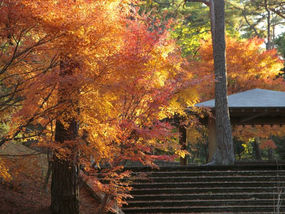 shinrinkoen-720x480.jpg