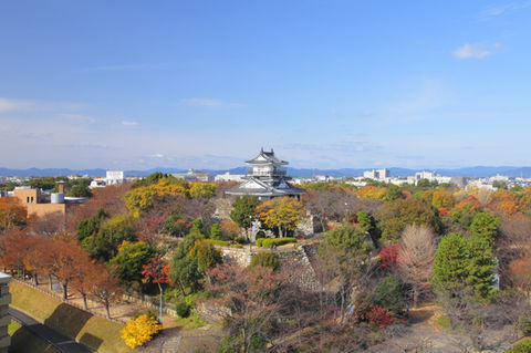 hamamatsujo4-scaled.jpg