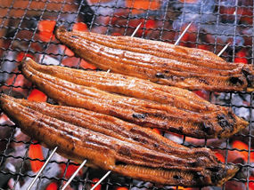 unagi2-720480.jpg