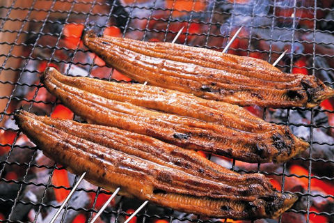 unagi2-720480.jpg