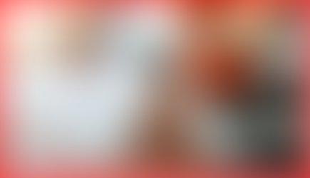 СӨХ болон жижиг ААНБ-д ашиглагдах Ерөнхий журнал хөтлөлт