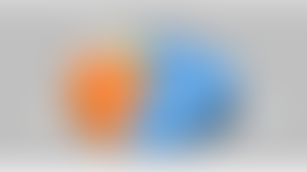 Урьдчилсан байдлаархи Сонгуулийн мэдээний нэгтгэл