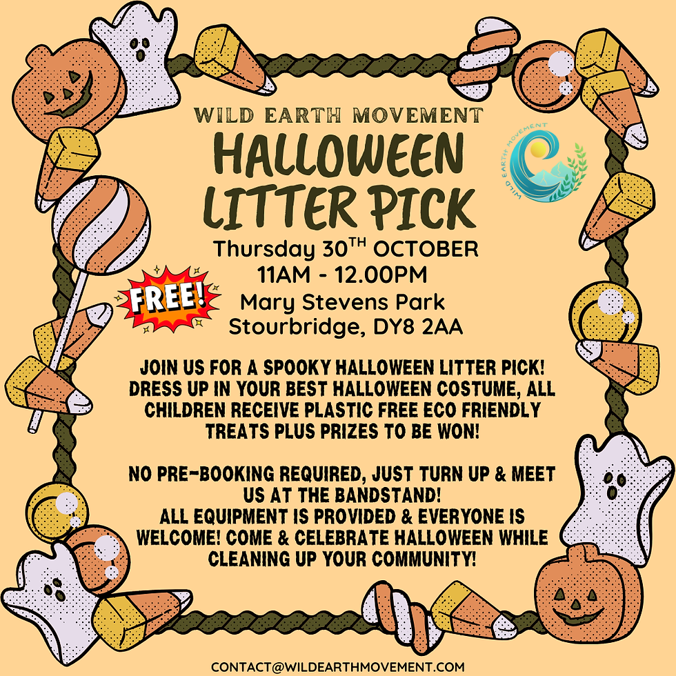 Halloween Litter Pick