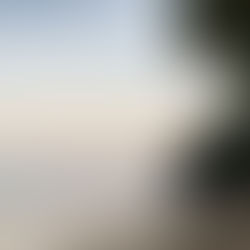 I'd Rather Not Fake It