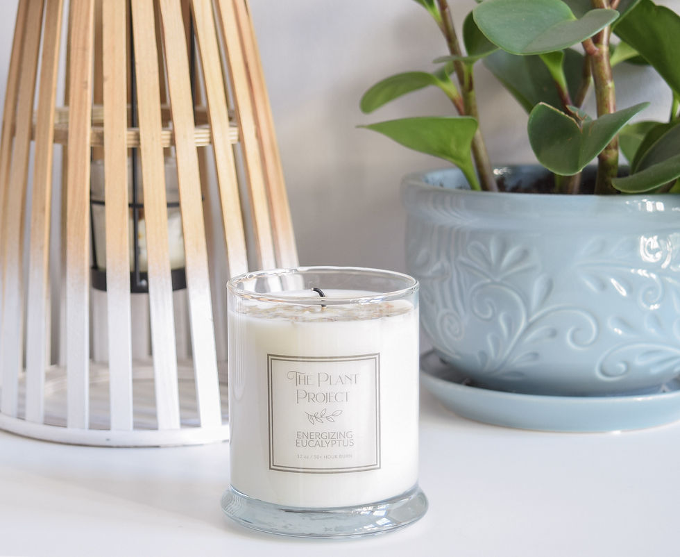 Thumbnail: Energizing Eucalyptus Candle