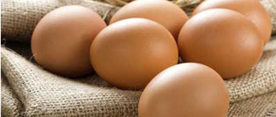 Non Gmo Large eggs