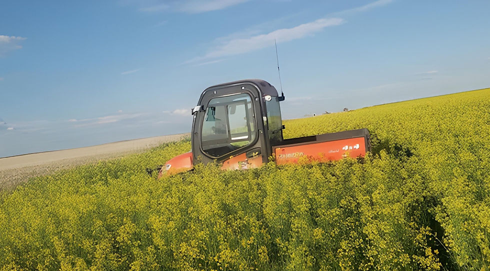 Kubota in a wheat field
