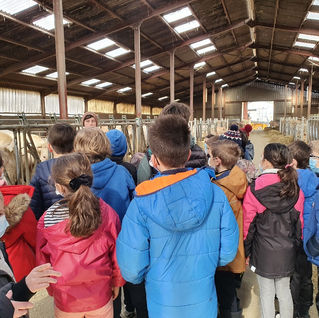 Ecole, Sainte Marthe, Buxy, 71390, département ,71, Chalonnais, entre, Chalon sur Saône, Le Creusot, école privée, sous contrat, enseignement, catholique, Enseignement privé, élèves, maternelle au CM2, garderie, cantine scolaire, pédagogie, différenciée, projet, numérique, utilisation, ipads