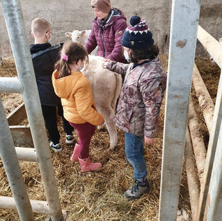 Ecole, Sainte Marthe, Buxy, 71390, département ,71, Chalonnais, entre, Chalon sur Saône, Le Creusot, école privée, sous contrat, enseignement, catholique, Enseignement privé, élèves, maternelle au CM2, garderie, cantine scolaire, pédagogie, différenciée, projet, numérique, utilisation, ipads
