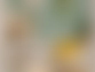 סדנת הום סטיילינג 